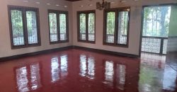 One acres land & simple two story house for sale in Lakshapana Hatton