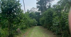Hikkaduwa – 5 Bedroom Villa for Moonthly Rent