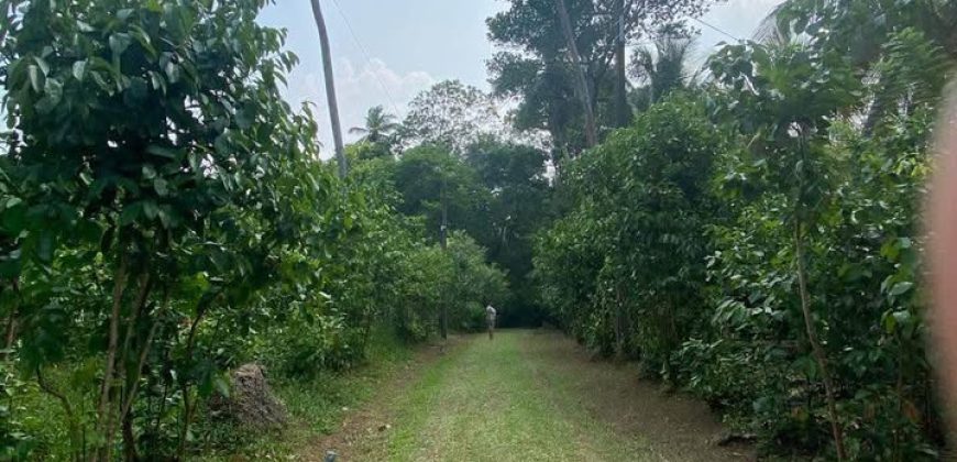 Hikkaduwa – 5 Bedroom Villa for Moonthly Rent