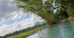 Entire Urban Jungle Villa – Athurugiriya
