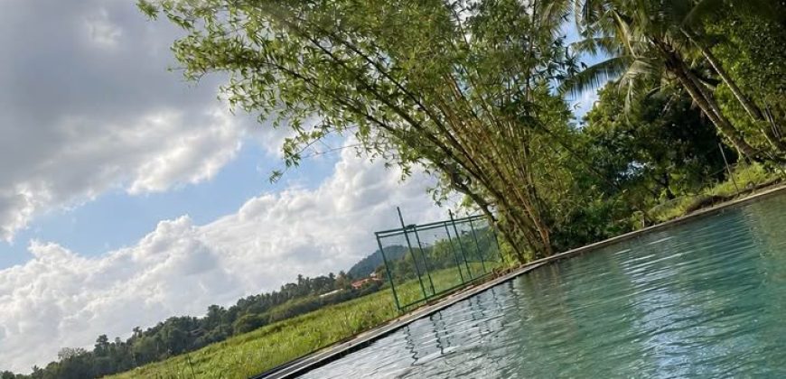 Entire Urban Jungle Villa – Athurugiriya